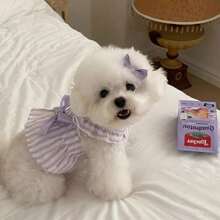 Summer Lightweight Striped Mini Cap Sleeve Pet Dress, Butterfly Sleeve Design, Soft Lavender Color, Comfortable