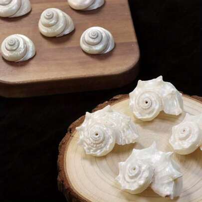 2 Stücke Silberne runde Seeohrmuschel und Seekuhauge Muschelset - DIY Treibholz Flasche, Fotorahmen, Heimdekoration, Magazin-Tagebuch Miniatur-Landschaftsdekoration Materialien