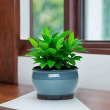 Round Ceramic Flower Pots Ceramic Plant Pots With Drainage Holes For Indoor & Outdoor Flower Plants (Acceptable Color Difference)