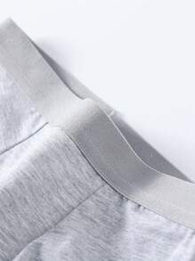 3 pièces Slips pour jeunes garçons - Sous-vêtements en tissu tricoté de style classique pour garçons