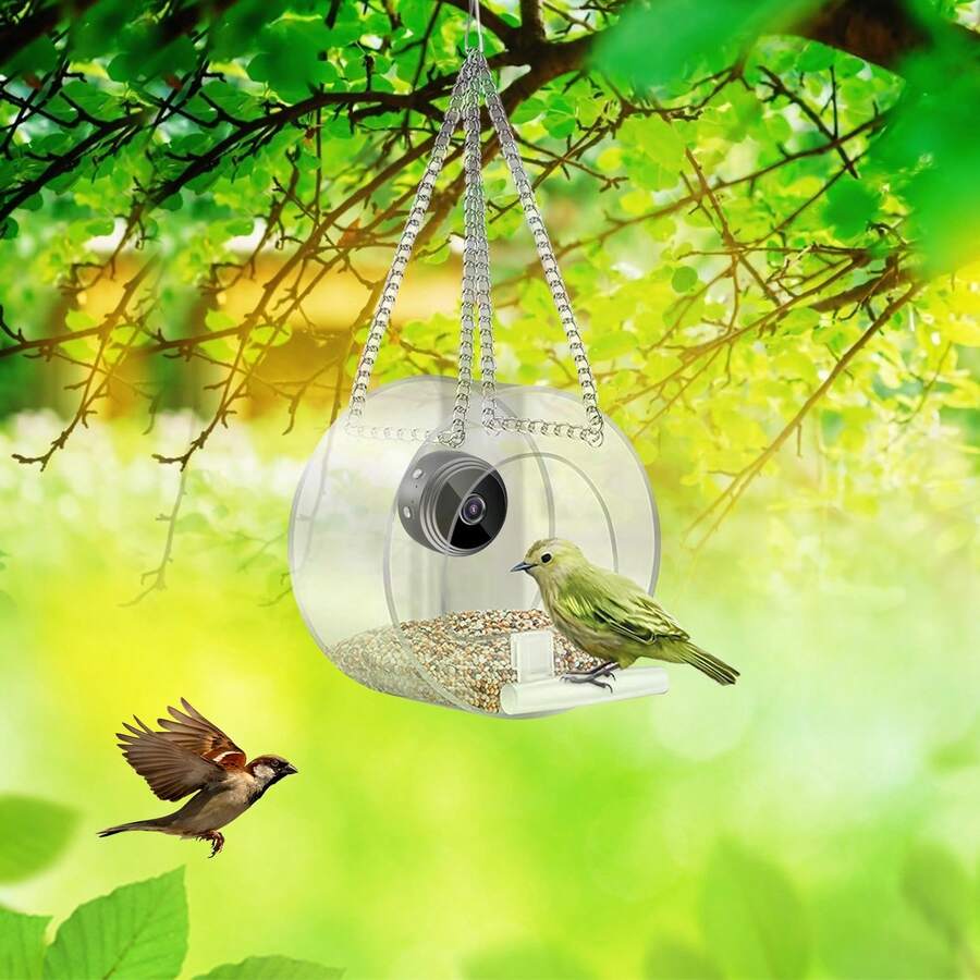 Bird Feeder With Camera Smart Backyard House Camera With Live View Instant Arrival Alerts Auto Capture Video Outside Wild Watching Cam Gift For Bird Lovers - Trong sáng - Xem 1