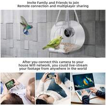 Bird Feeder With Camera Smart Backyard House Camera With Live View Instant Arrival Alerts Auto Capture Video Outside Wild Watching Cam Gift For Bird Lovers - Trong sáng - Xem 2