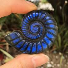 1 peça de concha de labradorita natural esculpida – design espiral azul e laranja iridescente exclusivo, ornamento de pedra artesanal para decoração de casa, decoração de festa ou presente de aniversário, Natal ou ocasiões especiais, acessório de mesa, decoração elegante, acabamento polido