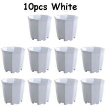 10pcs 7cm Octagonal White Flowerpot Plant Nursery Pot Table Succulent Plant Mini Planting Flowerpot Balcony Office Desktop Plant Decoration
