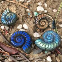 1 peça de concha de labradorita natural esculpida – design espiral azul e laranja iridescente exclusivo, ornamento de pedra artesanal para decoração de casa, decoração de festa ou presente de aniversário, Natal ou ocasiões especiais, acessório de mesa, decoração elegante, acabamento polido