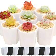 10pcs 7cm Octagonal White Flowerpot Plant Nursery Pot Table Succulent Plant Mini Planting Flowerpot Balcony Office Desktop Plant Decoration