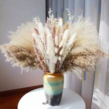 80 pezzi di decorazioni in stile bohémien, 17 pollici di erba pampa secca naturale, ideale per la decorazione da tavolo, la decorazione del centro matrimonio, la decorazione di feste, shooting fotografici, decorazione autunnale
