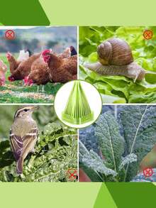 5/10pcs Reusable Plant Protective Cover With Ventilation Holes - Insect And Frost Protection For Vegetables, Flowers And Seedlings, Durable Plant Guard For All Seasons - Multicolor - View 11
