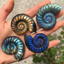 1 peça de concha de labradorita natural esculpida – design espiral azul e laranja iridescente exclusivo, ornamento de pedra artesanal para decoração de casa, decoração de festa ou presente de aniversário, Natal ou ocasiões especiais, acessório de mesa, decoração elegante, acabamento polido