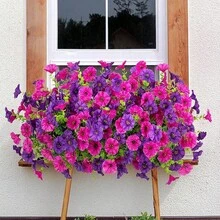 1/2pcs Artificial Flowers Morning Glory Rose Wisteria Basket Vine For Hanging Basket, Hanging Silk Flowers Fake Flowers Vine Wedding Car Decoration, Lintel Arch Decoration, Home, Dining Room, Bedroom, Birthday Party Decoration Materials, Table Decoration,Centerpieces,Artificial Flowers,Plastic Flowers, Valentine's Day, Gift Graduation,Garden Decor,Outdoor Plant,Gardening - Multicolor - View 8