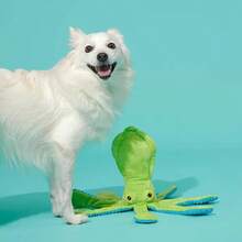 Billy The Squid Dog Toy - Green - Green - View 2