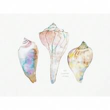 1 pièce Impression sur canevas d'art mural d'images de coquillage, conque, corail, baleine, vie marine pour la décoration de maison de plage, cadre en option - Multicolore - Voir 24