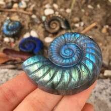 1 peça de concha de labradorita natural esculpida – design espiral azul e laranja iridescente exclusivo, ornamento de pedra artesanal para decoração de casa, decoração de festa ou presente de aniversário, Natal ou ocasiões especiais, acessório de mesa, decoração elegante, acabamento polido