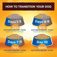 Nature's Recipe Grain Free Chicken, Sweet Potato &Amp; Pumpkin Recipe Dry Dog Food, 24 Lb. Bag