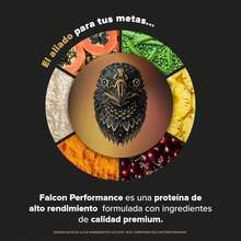 Birdman Falcon Performance Proteina Premium En Polvo, 30gr proteina, 3gr Creatina, Sin Inflamacion, Sin Acne, 10 Sobres Sabor Golden Vanilla 380gr - 1 - Ver 2