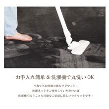 Freely Freely Washable Anti-Slip Carpet, 8 Sizes (100 X 140/130 X 185/185 X 185/200 X 250/200 X 300cm + Round R100/R140/R200) Thick, Water Absorbent, Quick Drying, Suitable For Entrances, Hallways, Dining Rooms, Living Rooms, And Kitchens, Abrasion Resistant, Lightweight