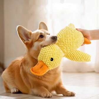 Durable Dog Chew Toys, Squeaky Plush Toys For Training & Boredom Relief For Small/Large Breed Dogs, Suitable For Outdoor Activity Like Weekend Trip, Beach