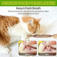 10 件/套猫磨牙棒 - 猫玩具、自娱自乐耐咬猫球、猫逗猫棒、猫用品猫用小玩意