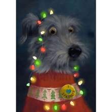 1pc Funny Animals Personify Poster Print Cat Dog Rabbit Hamster Eat Something Canvas Painting Wall Art For Living Room Home Decor Optional Frame