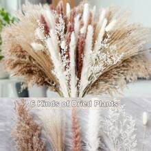 80 pezzi di decorazioni in stile bohémien, 17 pollici di erba pampa secca naturale, ideale per la decorazione da tavolo, la decorazione del centro matrimonio, la decorazione di feste, shooting fotografici, decorazione autunnale