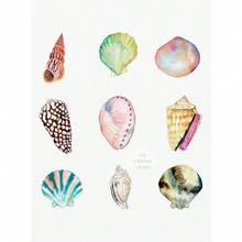 1 pièce Impression sur canevas d'art mural d'images de coquillage, conque, corail, baleine, vie marine pour la décoration de maison de plage, cadre en option - Multicolore - Voir 38