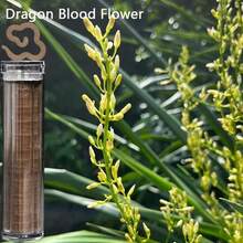 Around 40pcs 8 Floral Fragrance Cloud Shaped Aroma Diffuser, Long-Lasting Scent, Suitable For Home, Office, Club, Hotel And Yoga Studio, Great Gift For Holidays