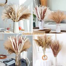 80 pezzi di decorazioni in stile bohémien, 17 pollici di erba pampa secca naturale, ideale per la decorazione da tavolo, la decorazione del centro matrimonio, la decorazione di feste, shooting fotografici, decorazione autunnale
