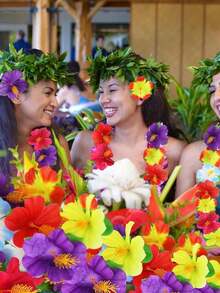 24/12 Pieces Of Artificial Hibiscus Flowers, 4.25 Inches. Tropical Decorative Hawaiian Flowers In Various Colors, Suitable For Hawaiian Theme Activities - Handcrafted, Summer Barbecues, Outings, Family Gathering Decorations, Bright Design, Soft And Comfortable To Wear, Durable Materials, Wedding Decorations, Hawaiian Style - Hibiscus - View 9