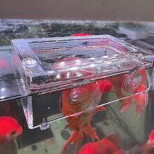 1pc Aquarium Fish Tank Feeder, Transparent Suspended Fixed Fish Feeder, Prevent Food Scattering, Protect Water Quality, Suction Cup Feeding Ring, Suitable For Goldfish, Clownfish, Carp, Tropical Fish, And Other Fish, Aquarium Supplies