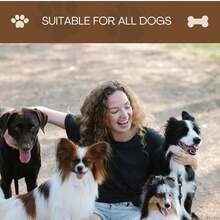 狗狗咀嚼玩具 - 和耐用咀嚼棒 - 耐用替代咀嚼棒磨牙玩具 - 骨头和鹿角形状 - 1 件