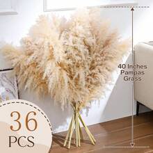 Local Delivery-15pcs 40''Dried Pampas Grass Decor Tall-Large Pompas Grass-Natural Beige Tall Pampas Grass For Floor Vase,Wedding,Party,Farmhouse,Living Room Floor,Boho Home Decor - 40inch-36pcs Beige - View 2