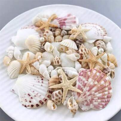 100 pièces Mini coquillages pour la décoration thème océan DIY, l'aménagement paysager d'aquarium et la décoration de la maison - Multicolore (blanc, jaune clair, mélangé), décoration de coquillages, environnement aquatique, esthétique naturelle, design délicat, texture réaliste