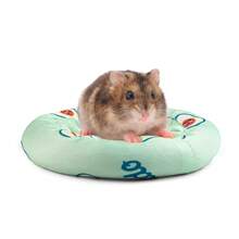 1 pieza Alfombra de mascota de estilo de dibujo animado de color verde pálido. Superficie de poliéster + capa interna de papel, diseño antideslizante en la parte inferior, suave y cómoda. Tamaño aproximado de 14cm*9cm*2,5cm, un estilo adorable, adecuado para hámsteres y otras mascotas pequeñas para descansar diariamente, proporcionando un acogedor nido para sus peludos amigos.