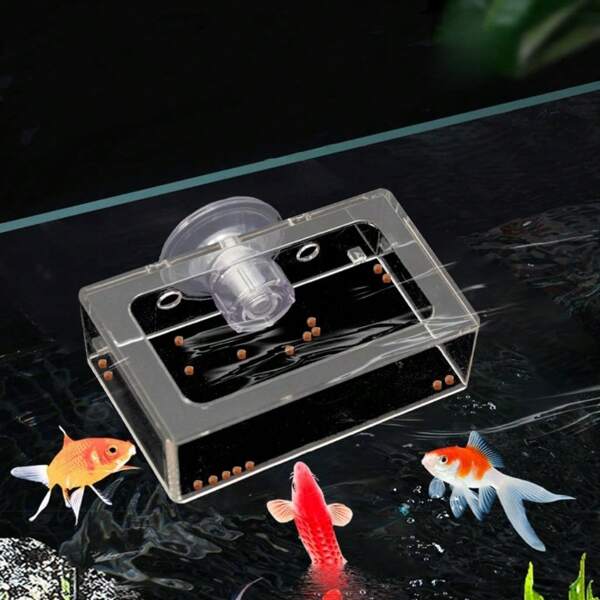 1pc Aquarium Fish Tank Feeder, Transparent Suspended Fixed Fish Feeder, Prevent Food Scattering, Protect Water Quality, Suction Cup Feeding Ring, Suitable For Goldfish, Clownfish, Carp, Tropical Fish, And Other Fish, Aquarium Supplies