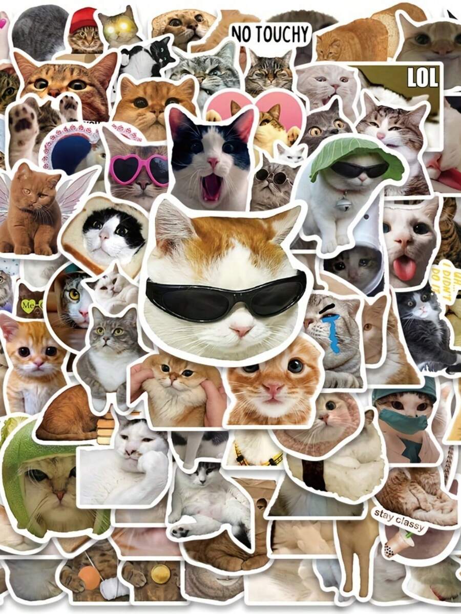 100 张搞笑猫咪 MEME 乙烯基贴纸，创意 DIY 贴纸，适用于杯子、冰箱、书籍、行李箱、桌子、头盔、滑板、相机、吉他、笔记本电脑、手机贴花（款式随机发货）学校用品，返校