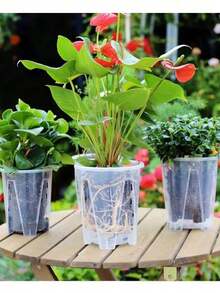 1/3/5 件装透明山根透气蝴蝶兰和天南星科植物花盆，带孔，厚实耐用 - 彩色 - 查看 10