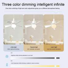 Ventilador De Techo Con Luz, Ventilador De Techo Silencioso Con Control Remoto E27 De 15,7 Pulgadas, Ventilador De Techo Pequeño Desmontable De 30 W, Contiene pequeño ventilador - Blanco - Ver 5