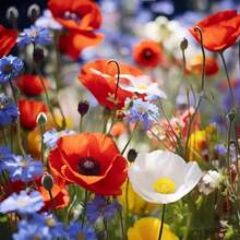 355pcs Rare Wildflower Combination Seeds, Precious Wildflower Flower Sea, Perennial Flower Seeds That Need To Be Planted, Fruit Tree Vegetable Seeds, Cold Resistant, High Survival Rate, Easy To Seed, Indoor And Outdoor, Suitable For Gardens And Potted Plants