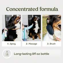 Pawfume Dog Shampoo And Conditioner – Hypoallergenic Dog Shampoo For Smelly Dogs – Best Dog Shampoos &Amp; Conditioners – Probiotic Pet Shampoo For Dogs – Best Dog Shampoo For Puppies (Blue Ribbon) - Conditioning Moisturizing Spray - View 5