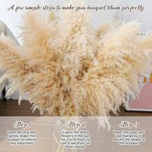 Local Delivery-15pcs 40''Dried Pampas Grass Decor Tall-Large Pompas Grass-Natural Beige Tall Pampas Grass For Floor Vase,Wedding,Party,Farmhouse,Living Room Floor,Boho Home Decor - 40inch-36pcs Beige - View 4