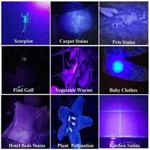 1pc 395nm UV Black Light Flashlight, Small Portable Pocket Pen Lightsfor Leak, Pet Urine, Hotel Inspection, Dry Stain And Dye Detector Ultraviolet Invisible Ink Torch, Ore Moneyscorpion Detection Lamp (Notinclude Battery)