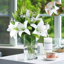 5 Stücke realistische weiße künstliche Lilien Blumen mit grünen Stielen, hohe Fidelität der Erscheinung, nicht verblassend, Frühlings- und Sommer-Blumendekoration, geeignet für Innen- und Außengarten, Hof, Party, Hochzeit, Wohnzimmer, Schlafzimmer, Festival, Geschenk, Heimdekoration, Fotografie-Requisiten