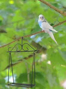 1 件鹦鹉玩具套装鸟笼配件金属秋千易于安装且紧凑，精致且方便携带 - 黑色 - 查看 6