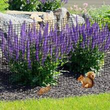 15 PCS Round Plant Protector From Animals, 5 Pack 12'' X 12'' Metal Plant Cages,Mesh Plant Cage Garden Plant Protector, Sturdy Bunny Barricades Chicken Wire Cloche Plant Protectors - 黑色 - 查看 7