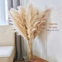 10 PCS 39-Inch Fluffy Pampas Grass, Dried Pampas Grass Bouquet, Bohemian Wedding Decor, Interior Decor, Living Room, Vase, Farmhouse Decorations,Fall Decor,Autumn