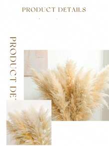 10 PCS 39-Inch Fluffy Pampas Grass, Dried Pampas Grass Bouquet, Bohemian Wedding Decor, Interior Decor, Living Room, Vase, Farmhouse Decorations,Fall Decor,Autumn