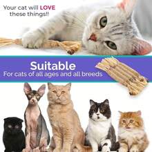 3pcs Natural Cat Teeth Grinding Stick Toy - Cat Toy, Self-Entertained, Bite-Resistant, Cat Ball, Cat Feather Teaser Wand, Cat Supplies Cats Essential, Teeth Grinding, Biting, Cleaning Toy, Self-Entertaining, Feather Stick Cat Toy