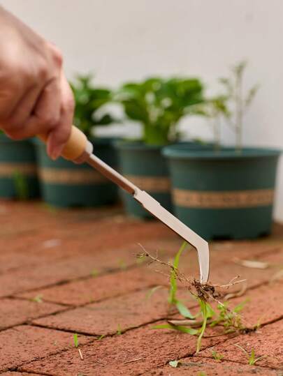 Cirelle 不锈钢除草除草器 缝隙割草除草工具 挖野菜多功能工具 家庭园艺花卉种植农业用途