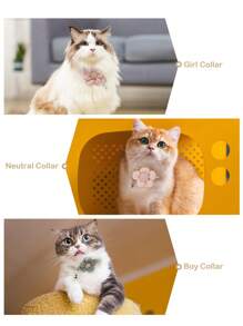 Coleira para animais de estimação decorada com flores e pingente, adequada para cães/gatos pequenos, decoração e tração