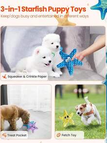 狗狗咀嚼玩具 - 耐用吱吱作响的海星玩具、宠物出牙玩具、捉迷藏喂食器、海星形状互动玩具